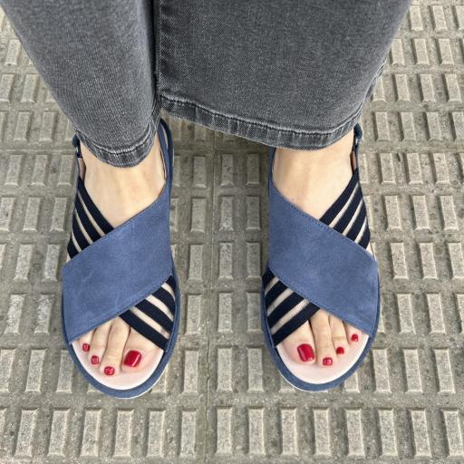 Sandalia Escarlata azul [2]