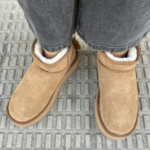 Botin Melide camel