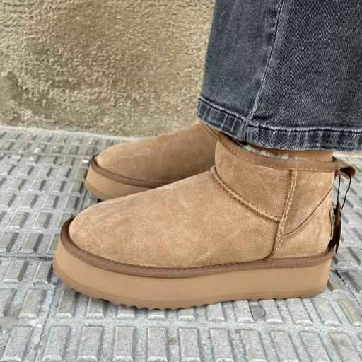 Botin Melide camel [2]