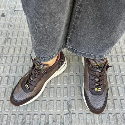 Deportivo Betty chocolate [1]