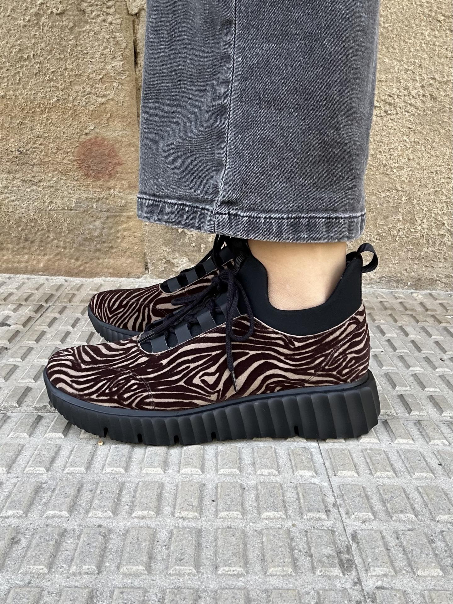 Zapato Chacha zebra