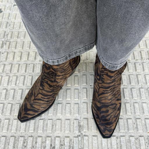 Botín Jarod zebra