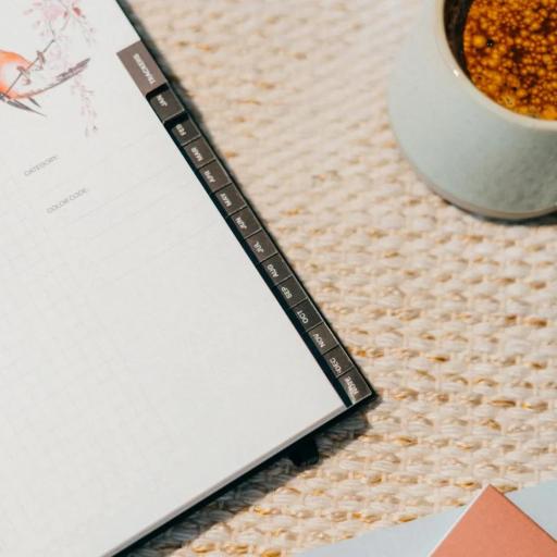 Agenda anual Proyecta de 12 meses [2]