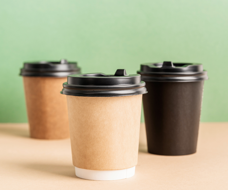 Categorias envasesweb.png