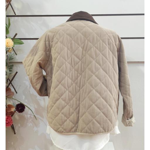 Chaqueta pana [0]
