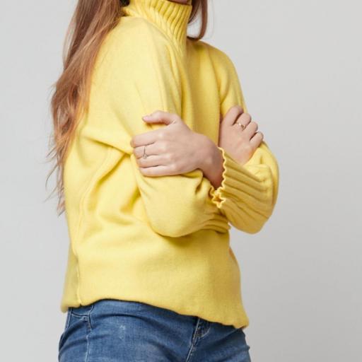 jersey corto de cuello alto [1]