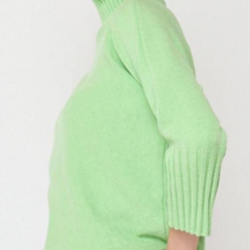 jersey corto de cuello alto [1]