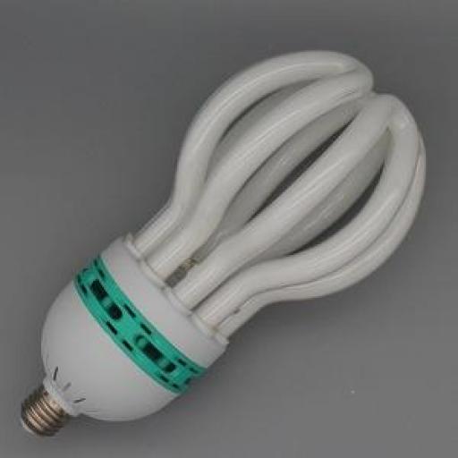 LAMP ECONOMIC 125W [0]