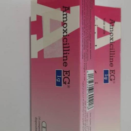 Amoxicilina 500mg 