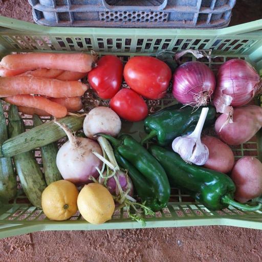 Caja de Verduras disponibles