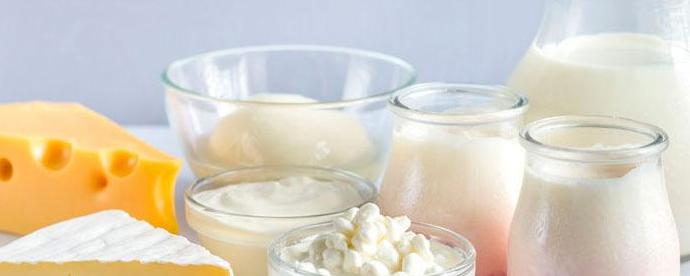 Leche y productos lácteos