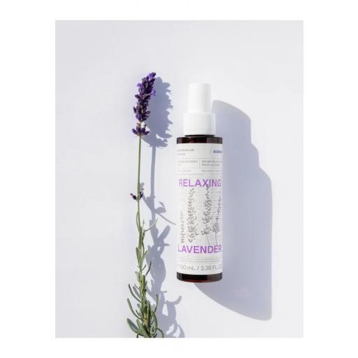 RELAXING LAVENDER SENSES CALMING MIST 100 ML
