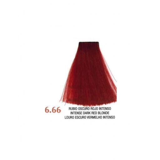 Tinte Arual Collection Nº6.66 Rubio Oscuro Rojo Intenso 60ml [1]