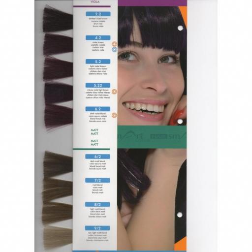 Pack 3 unidades Tinte Hair Smart N 5.22 Castaño Claro Violeta Intenso [1]