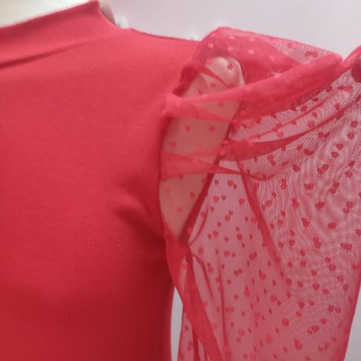 Camiseta Plumeti Roja [1]