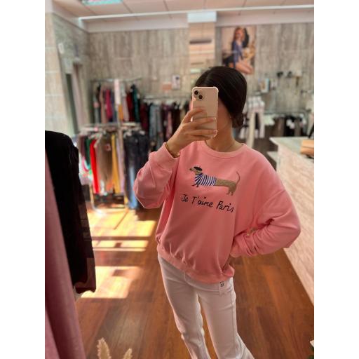 SUDADERA PERRO SALCHICHA VARIOS COLORES