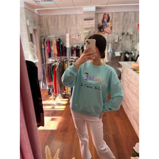 SUDADERA PERRO SALCHICHA VARIOS COLORES [1]