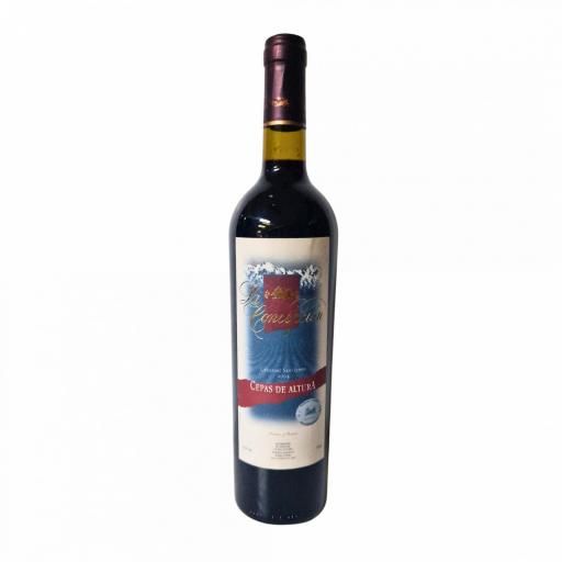 La Concepción Cabernet Sauvignon 2004