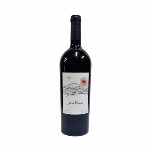 Jane Ventura Negre Selecció 12 vinyes 2005 Magnum