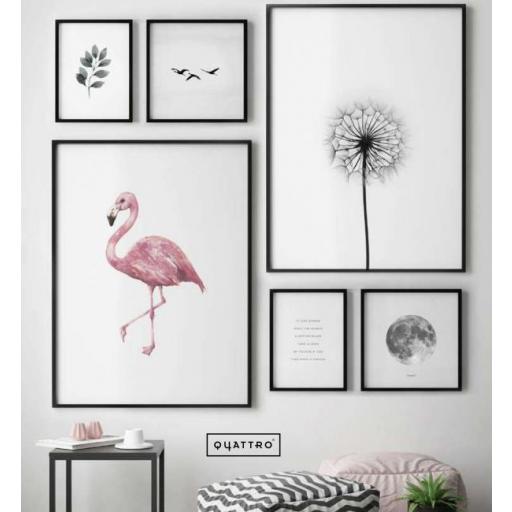 Composición Flamingo