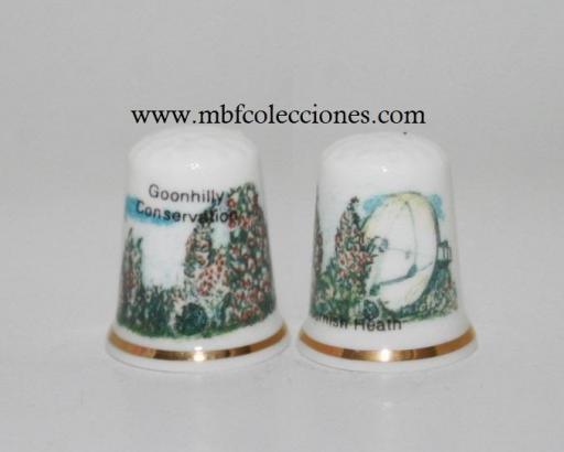 DEDAL GOONHILLY CONSERVATION  - CORNISH HEATH RF. 09658 [0]