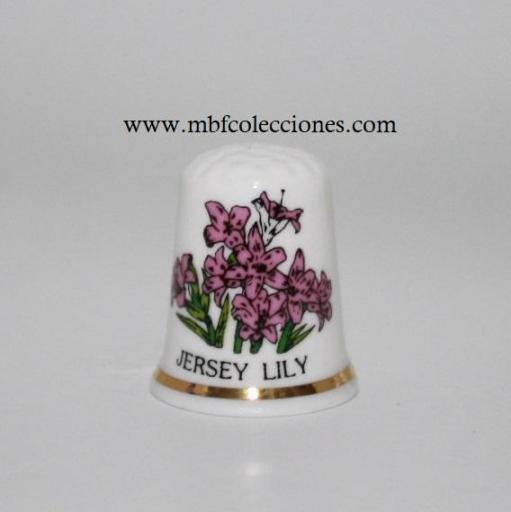 DEDAL JERSEY LILY RF. 09750 [0]