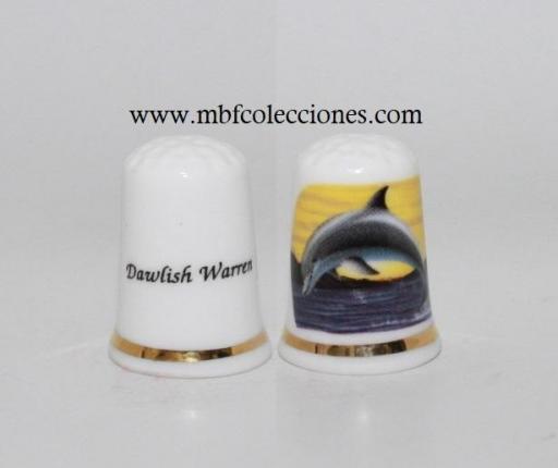 DEDAL DAWLISH WARREN RF. 10019 [0]