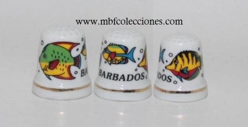DEDAL BARBADOS ​RF. 10141 [0]