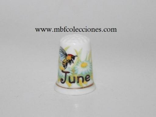 DEDAL JUNE RF. 10254 [0]