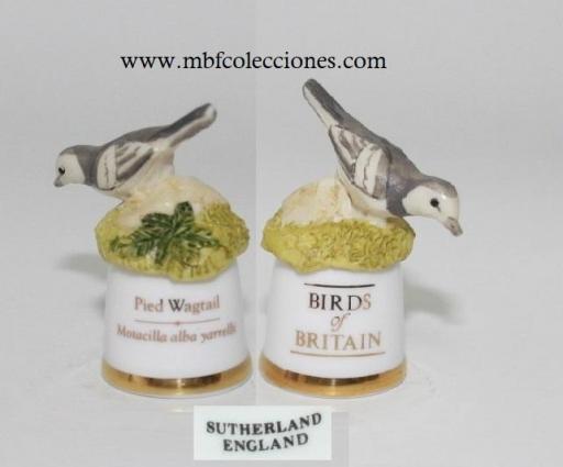 DEDAL SUTHERLAND PIED WAGTAIL ​RF. 10514 [0]