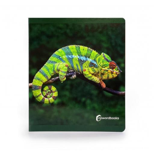 Libro infantil Nowordbooks de fotografía sobre Los Animales de la Selva. Gran Formato. [0]