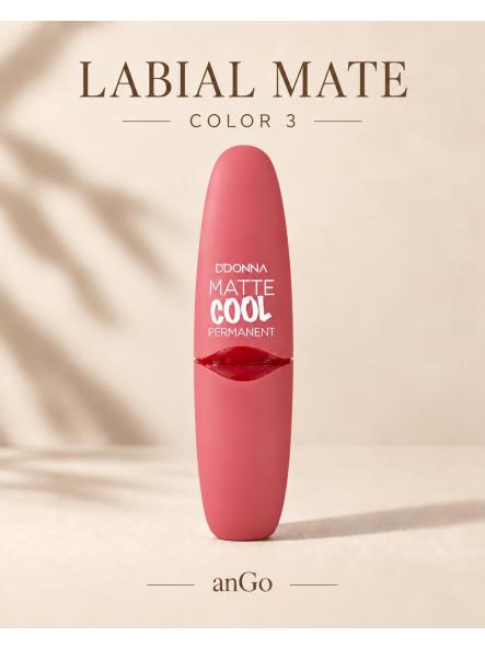BARRA DE LABIOS MATE PERMANENTE [2]