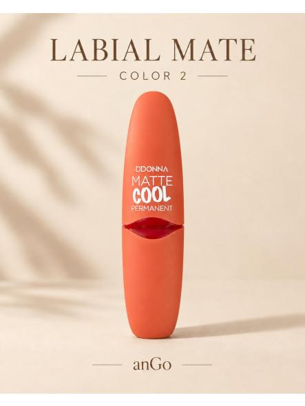 BARRA DE LABIOS MATE PERMANENTE [1]