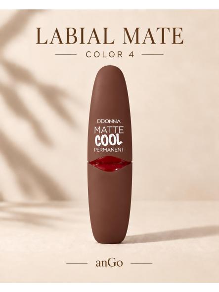 BARRA DE LABIOS MATE PERMANENTE [3]