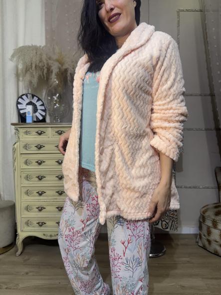 BORREGO PRIMAVERA [4]