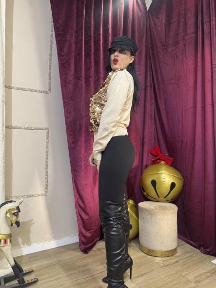 JERSEY  FIESTA  DORADO [2]