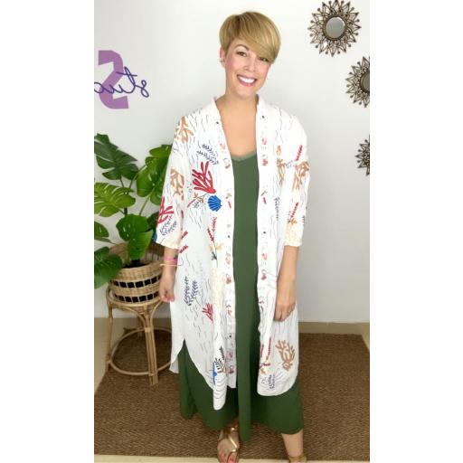 r.227 Sobrecamisa [1]
