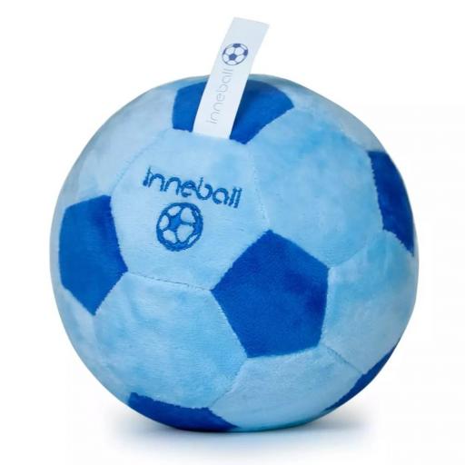 Balón de interior [1]