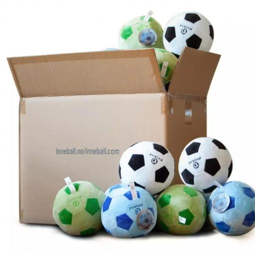 Balón de interior [2]