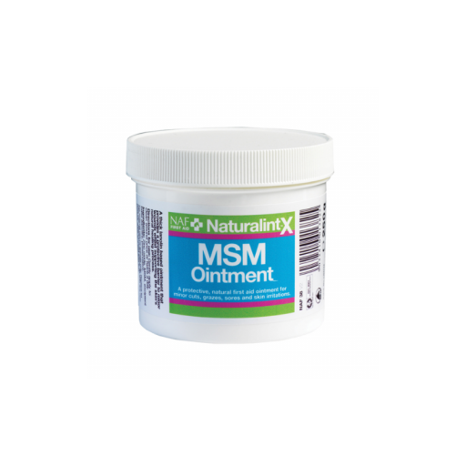 MSM Ointment NAF 250 G