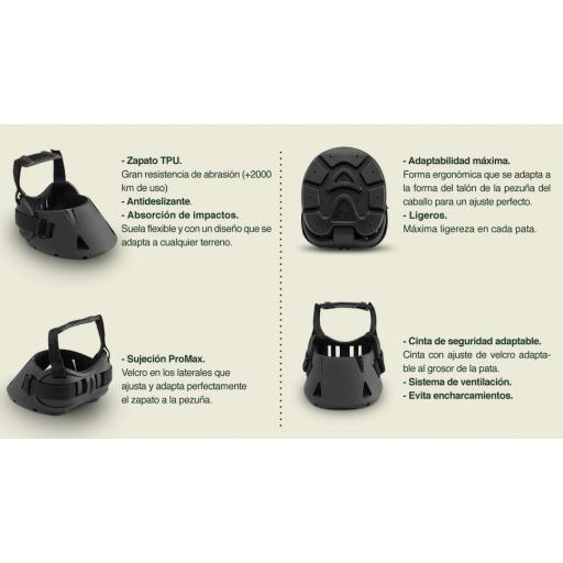 ZAPATOS CABALLOS GATUSOS [1]