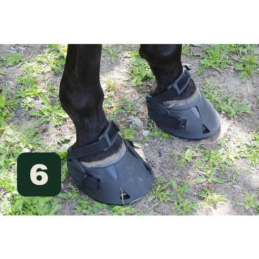 ZAPATOS CABALLOS GATUSOS [2]