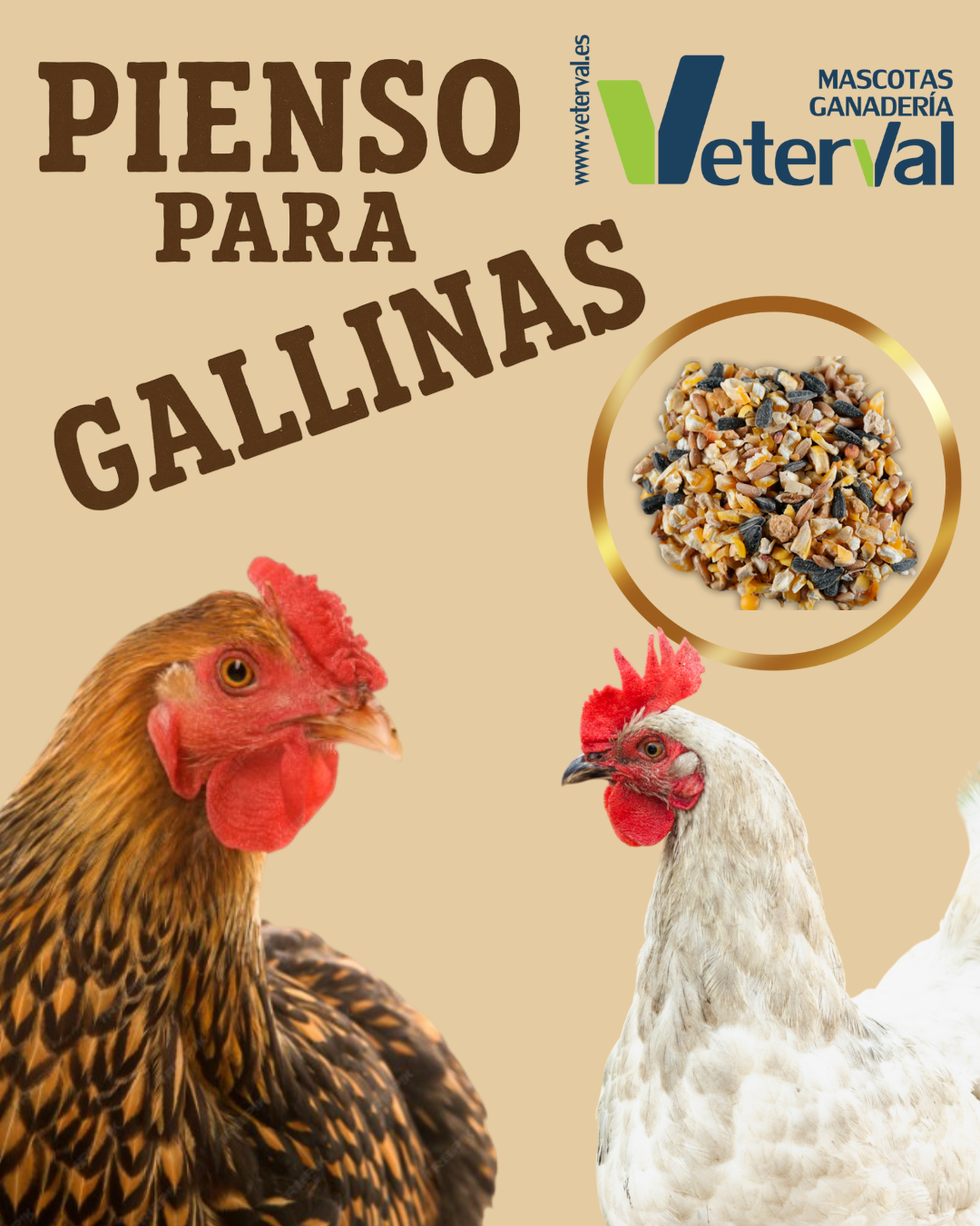Diseño sin título (2).png