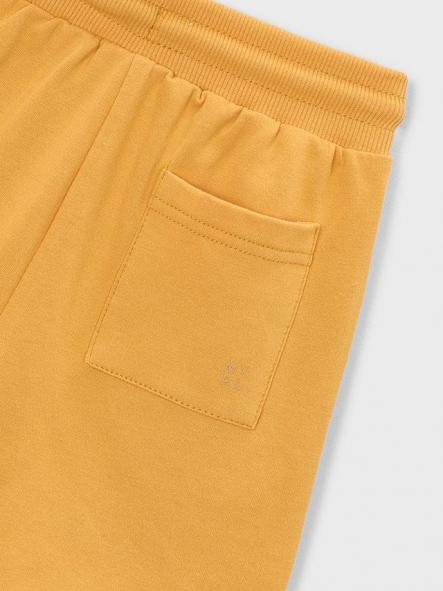 Bermuda Mayoral 611-89 [2]