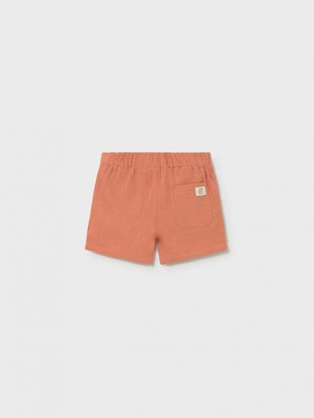 Bermuda Mayoral 1216-55 [2]