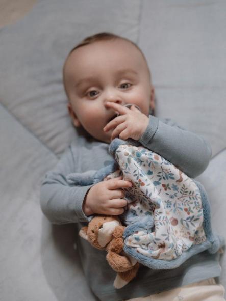 Doudou Little Dutch Forest Friends