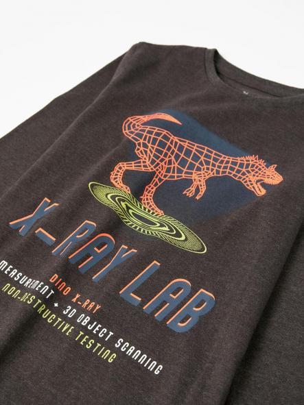 Camiseta Zippy Gris Dinosaurio [2]