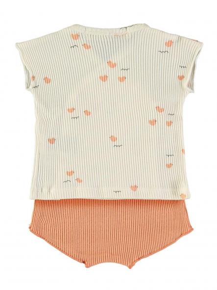 Jubón + Polaina BabyClic Ducks Lovely Ducks Apricot [1]