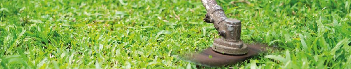 Discos para desbrozadora: guía para elegir el adecuado y mejores opciones