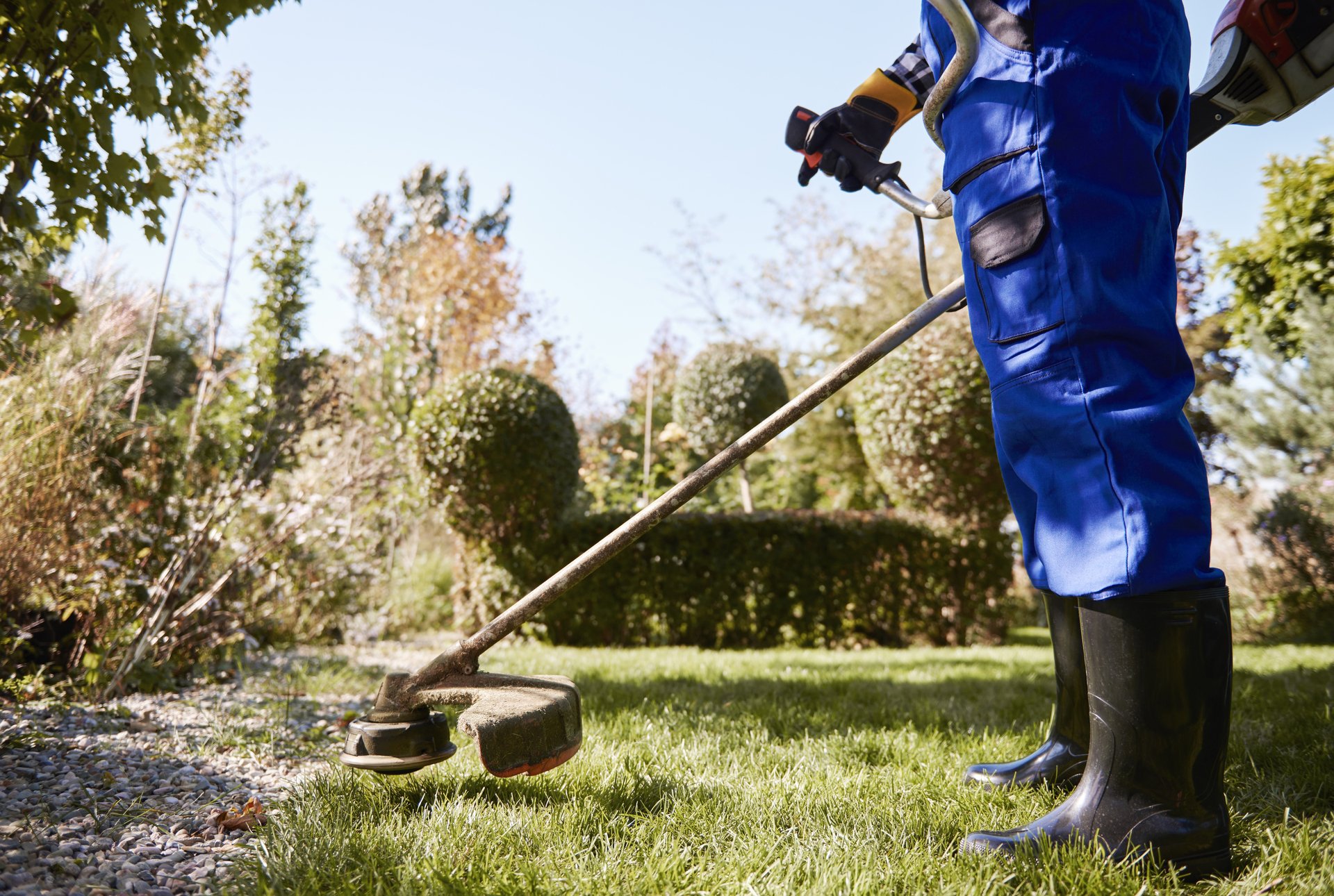 jardinero-con-weedwacker-cortando-el-cesped-en-el-jardin (1).jpg